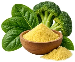 Состав Nutrislimin — Фолиевая кислота