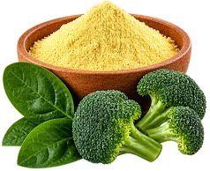 Состав Nutrislimin — Фолиевая кислота