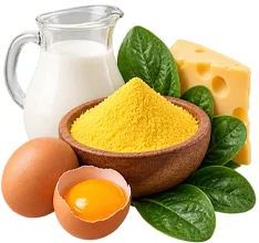 Состав Nutrislimin — Фолиевая кислота