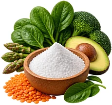 Состав Nutrislimin — Фолиевая кислота